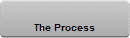 The Process