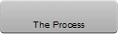 The Process